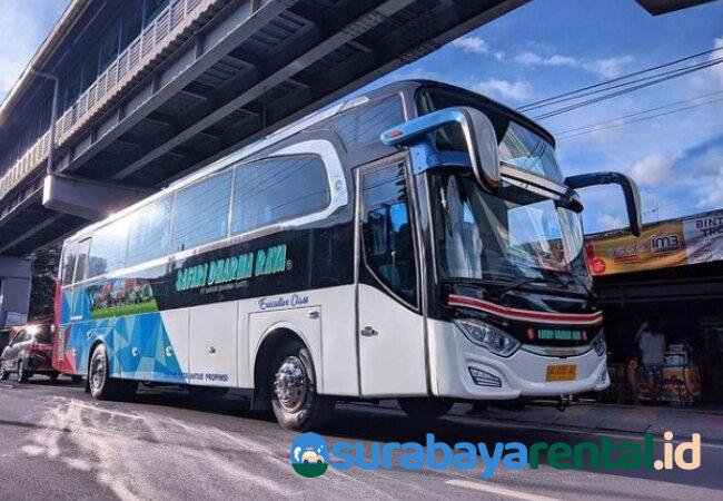 3 Bus Jakarta Lombok, Tarif Tiket 590rb