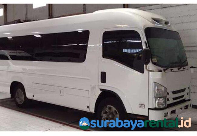 5 Sewaan Elf Pekanbaru, Tarif 700rb