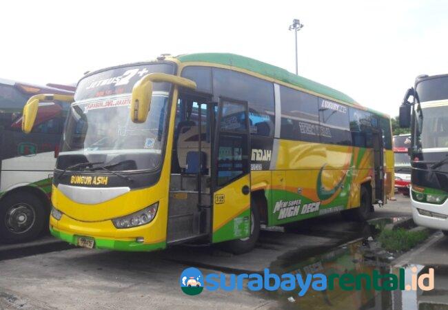 10 Bus Jakarta Semarang, Tarif Tiket 130rb